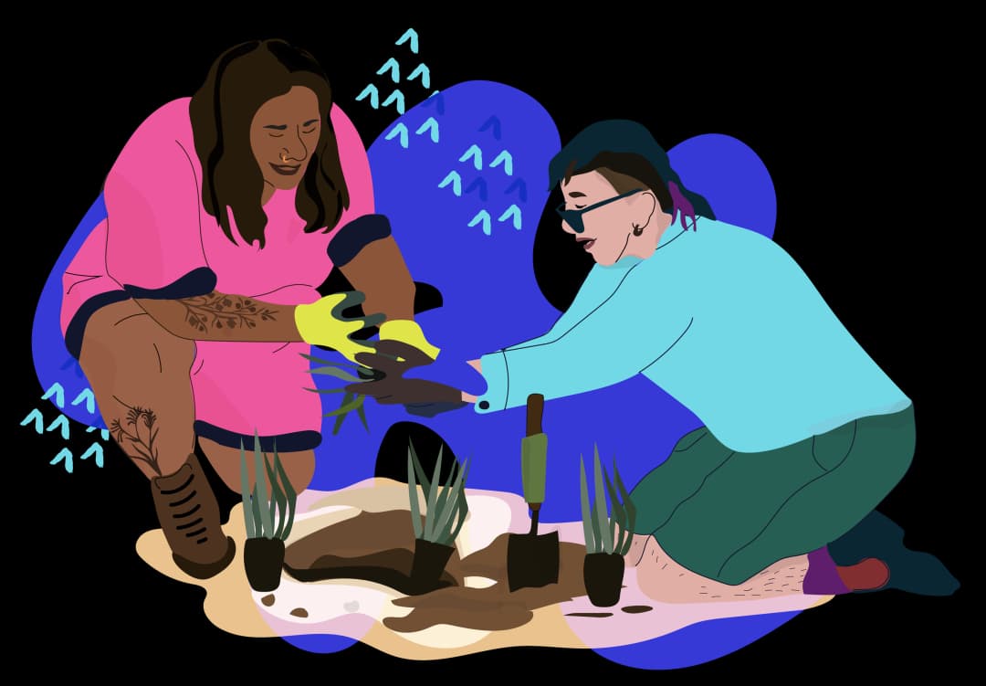 CtL_treeplanting_new