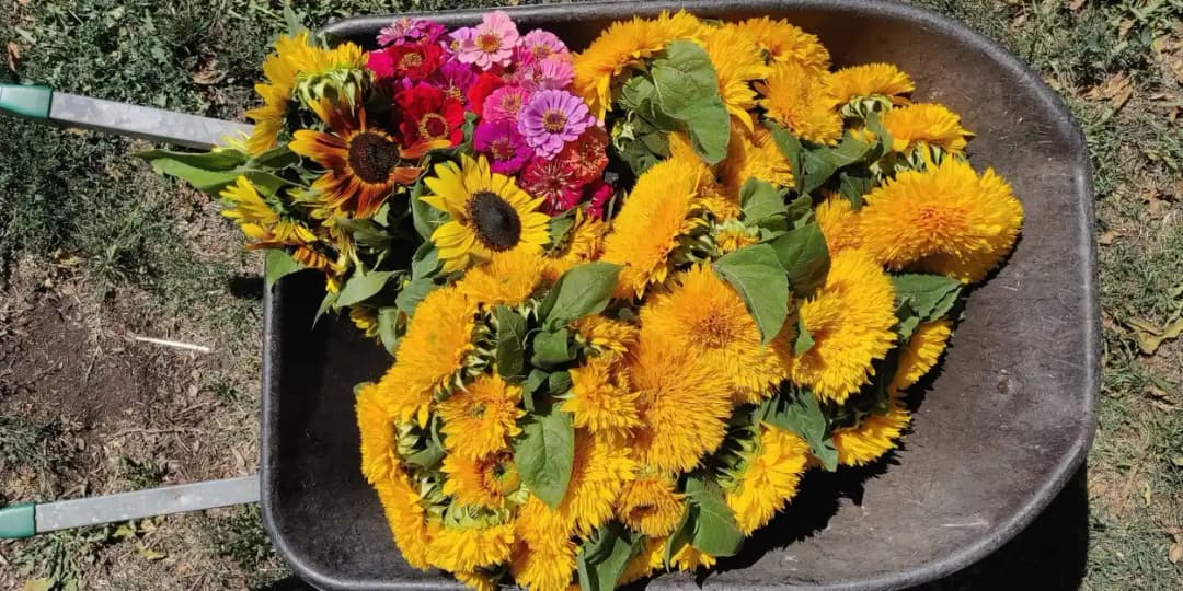 IMG_20210218_144704 (1)